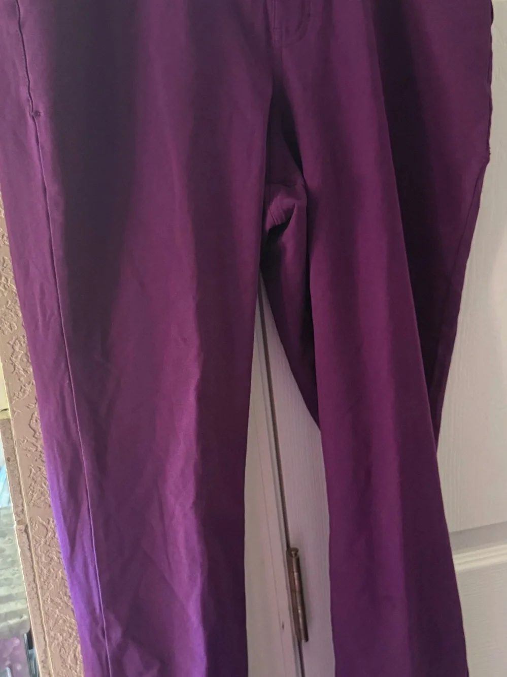 Lane Bryant Deep Purple Straight-Leg Pants